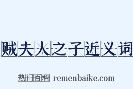 贼夫人之子近义词是什么意思的图片
